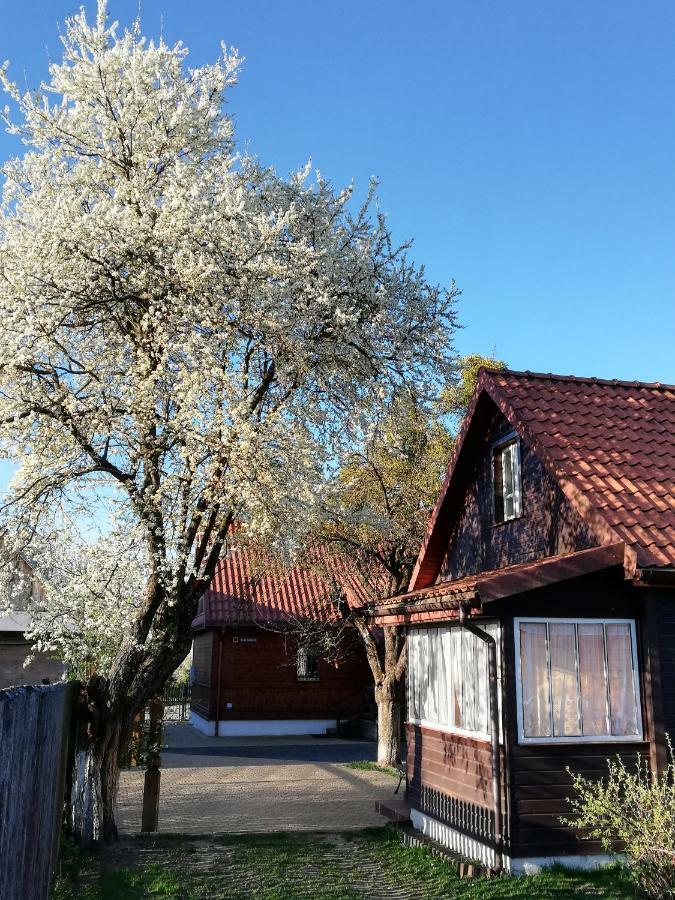 Domek Zapiecek Białowieża Exterior foto